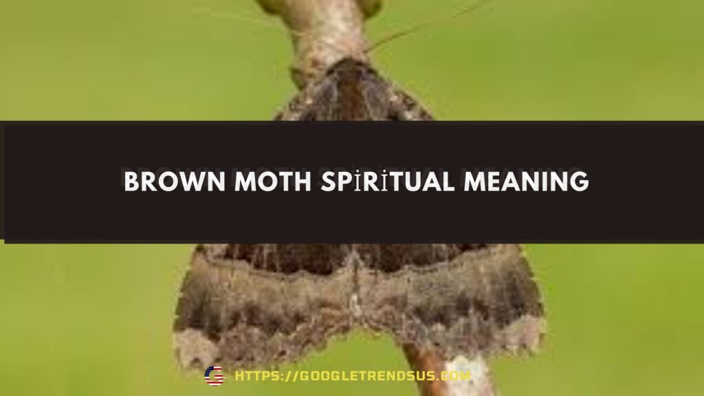 The Spiritual Meaning of the Brown Moth: Transformation, Authenticity, and Guidance