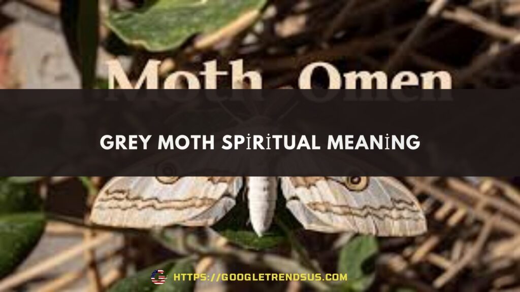 Brown Box Tree Moth Grey Moth Spiritual Meaning