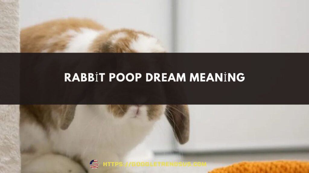 Rabbit Poop Dream Meaning