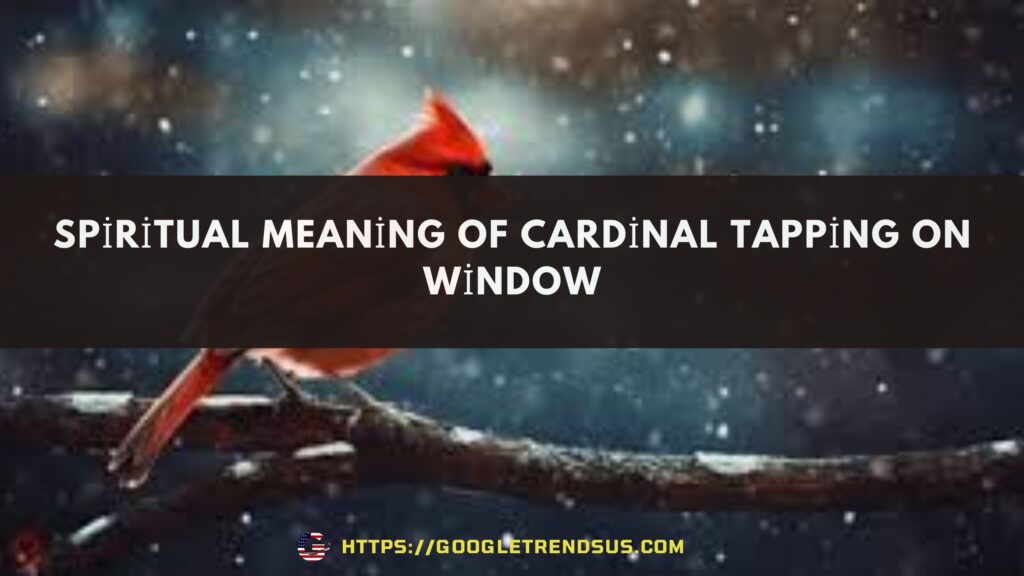 Spiritual Meaning Of Cardinal Tapping On Window