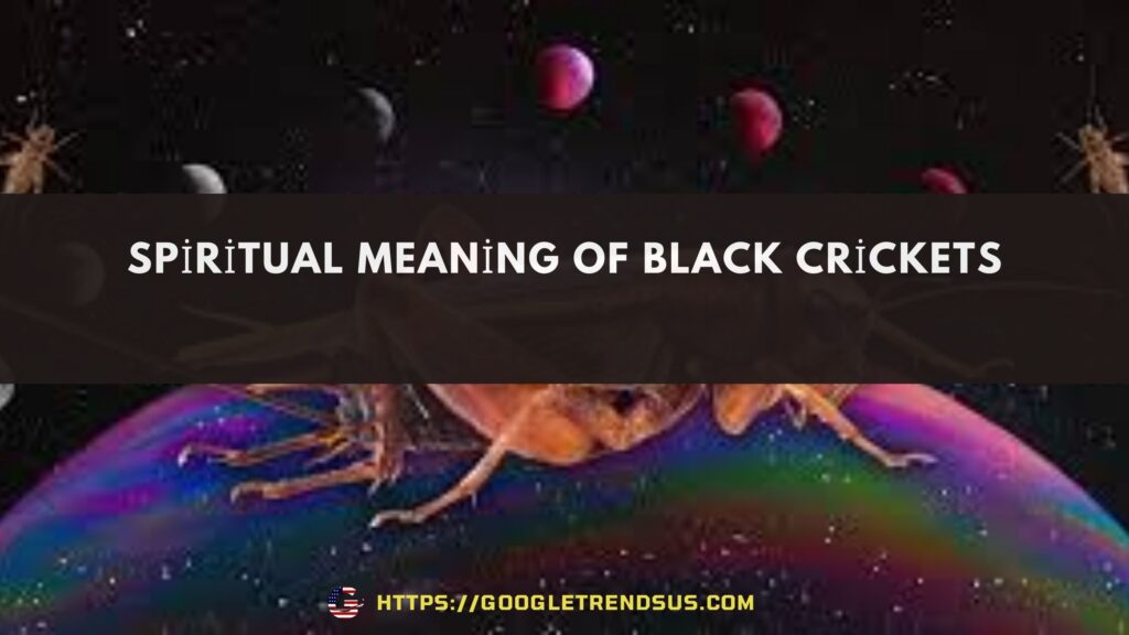 Spiritual Meaning of Black Crickets