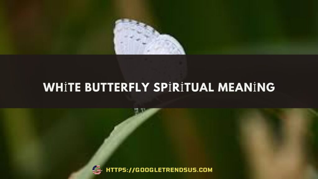 White Butterfly Spiritual Meaning